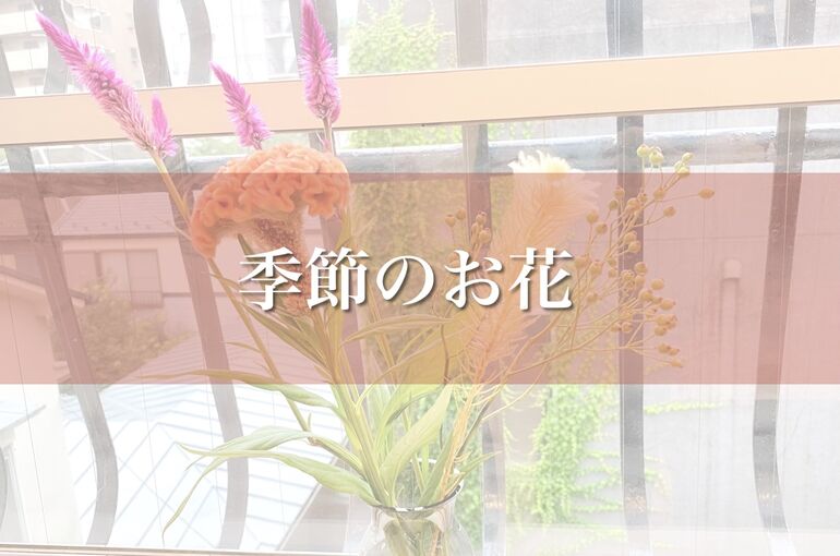 B9A298E4-CA2A-4562-A943-7542E17CF750